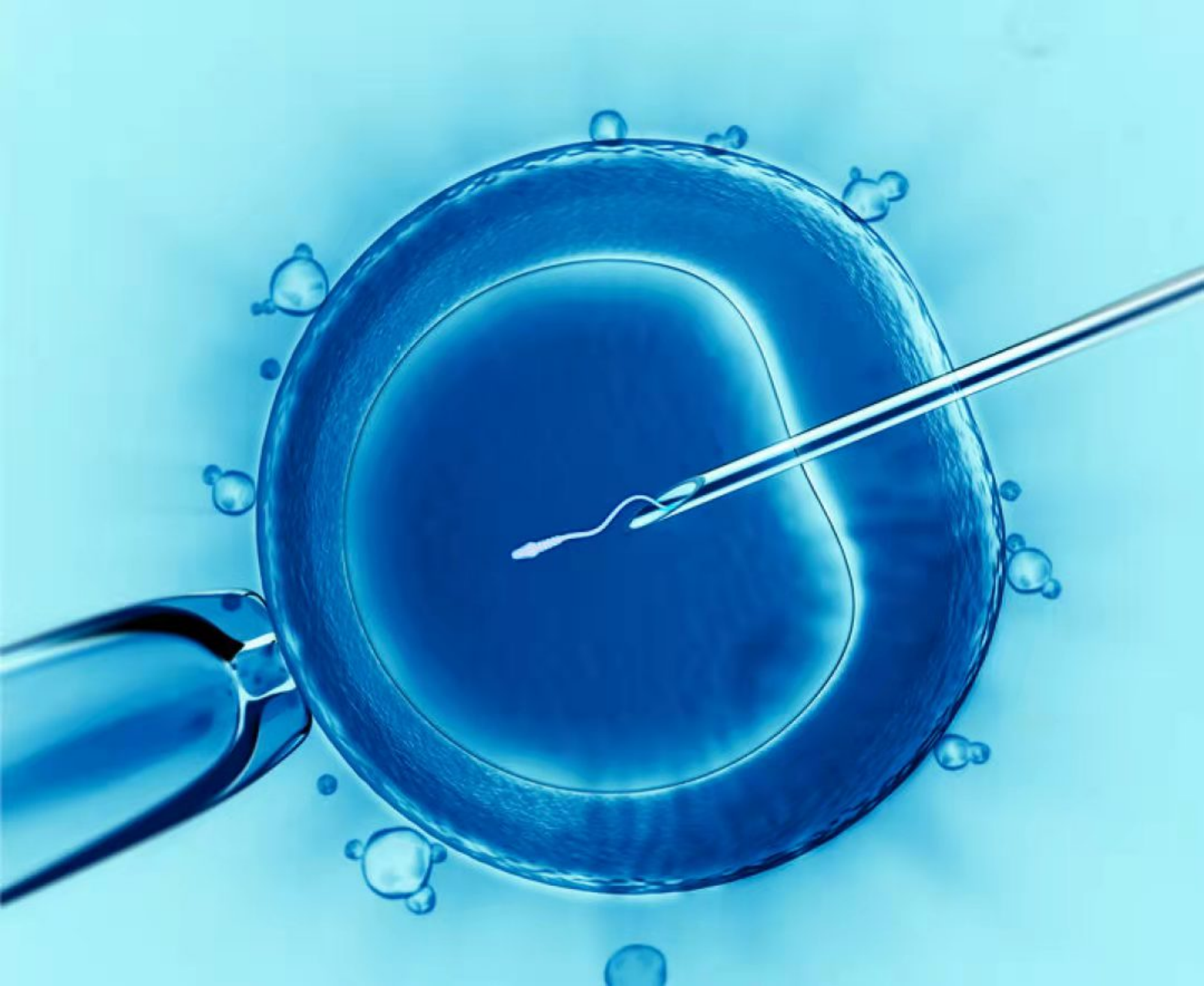 辅助生殖技术助孕咨询服务流程