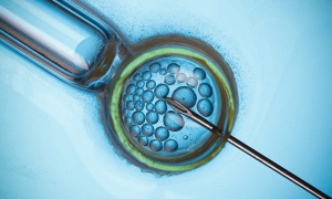 辅助生殖技术伦理探讨与助孕机构监管研究