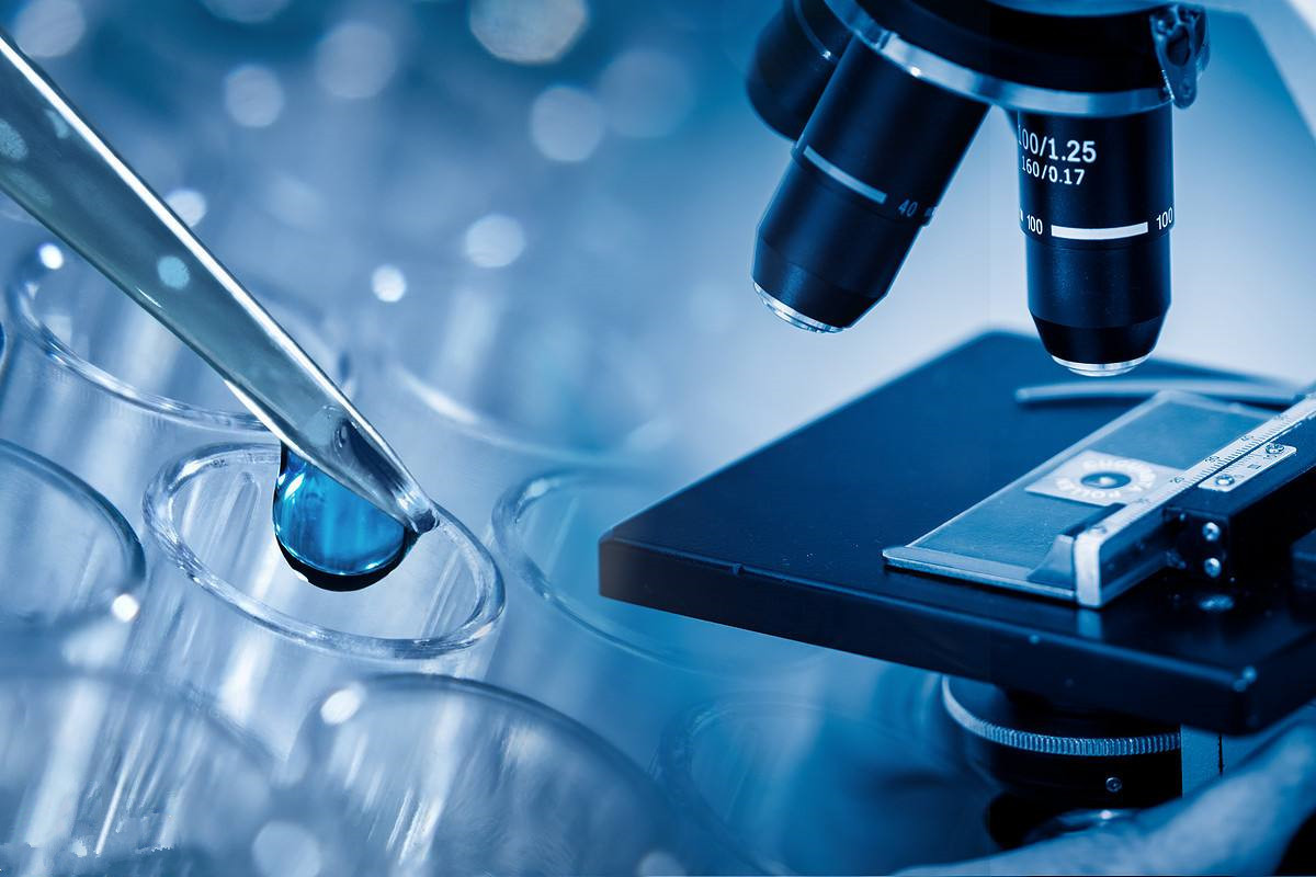 辅助生殖技术中的助孕流程