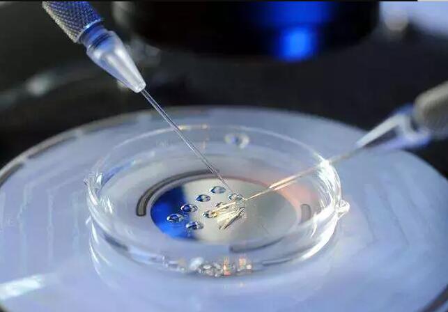 辅助生殖技术与试管婴儿