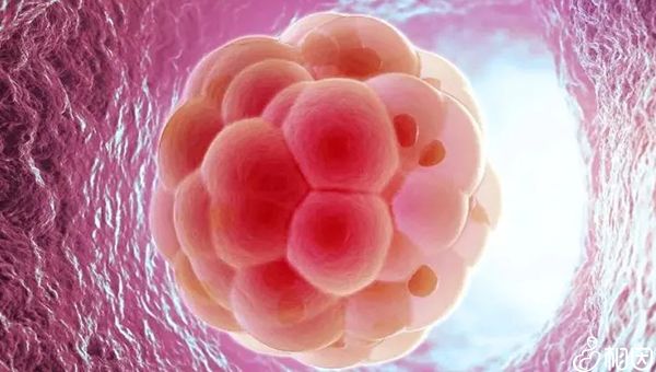 辅助生殖技术 治疗不孕不育方法 最新进展