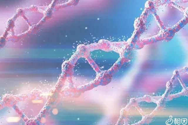 辅助生殖技术包生小孩子咨询服务