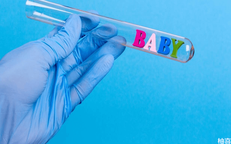 辅助生殖技术助孕公司