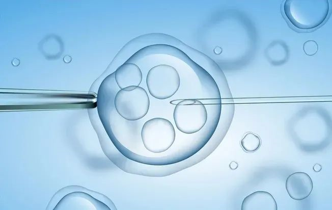 辅助生殖技术在北京的应用